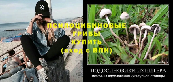 молекула духа Алексин