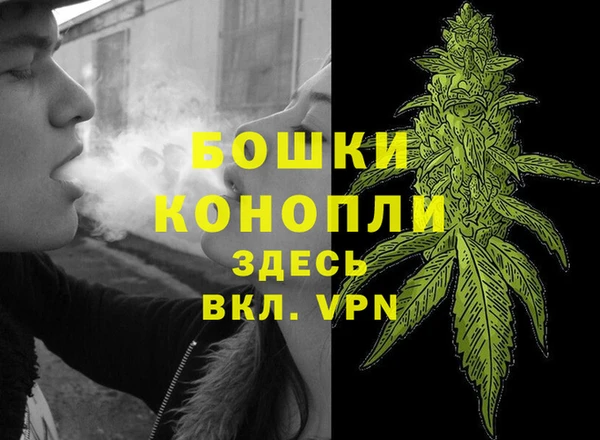 ГАЛЛЮЦИНОГЕННЫЕ ГРИБЫ Покров