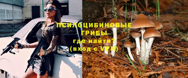прущая мука Алексеевка