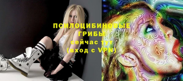 молекула духа Алексин